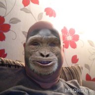 vinnybhoy1